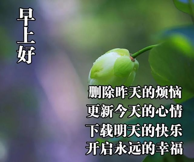 漂亮早安图片问候祝福语短信,早上好唯美动画祝福图片