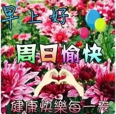 9月5日早上好日常祝福语大全,早晨好日常问候语录新版