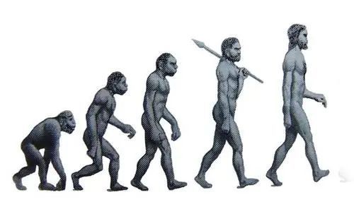 疯狂人类进化史-人类究竟是如何一步一步进化