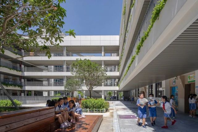 释放孩童天性的乐园-深圳海岸小学/深圳市建筑设计研究总院–城市建筑