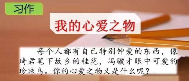 【微课堂】部编版五年级语文习作一《我的心爱之物》写作指导 课件