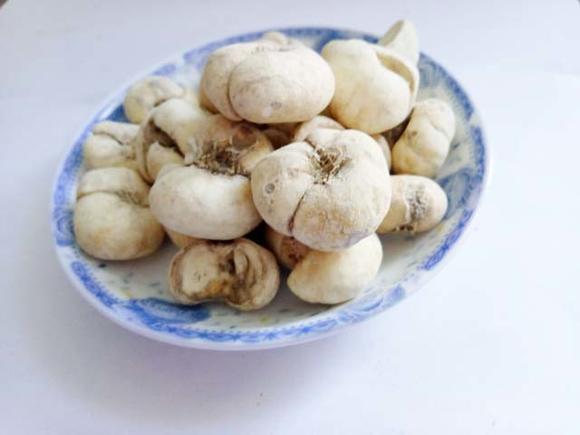 中药古今研究浙贝母