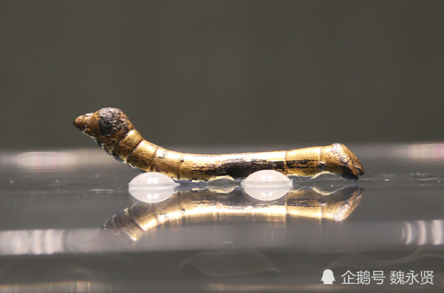 鎏金铜蚕献宝之家:30多年前慷慨献宝,80岁的献宝人