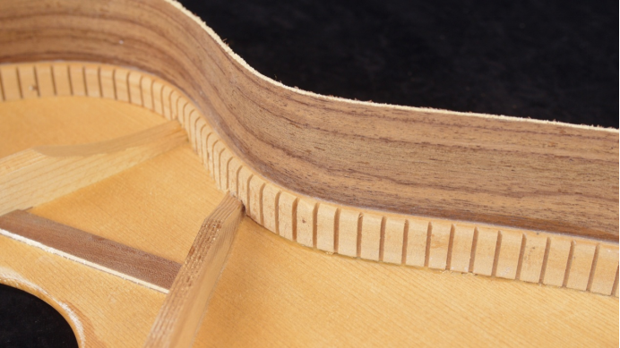 声学设计中,吉他的力木结构与功能