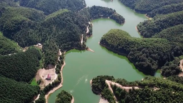 【航拍株洲】走进渌口区龙门镇,千亩荷塘,滑翔伞和露营基地,古墓群