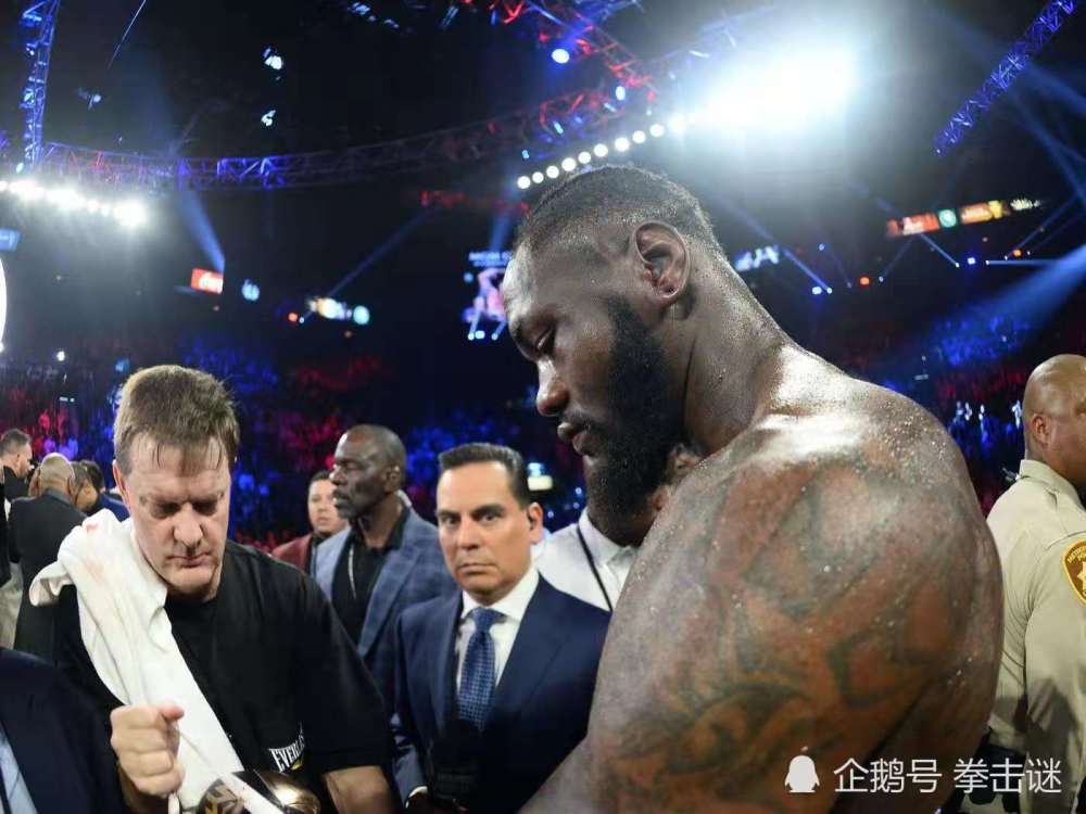 又出新花样!拳王维尔德在水中进行训练,遭到拳迷无情嘲讽