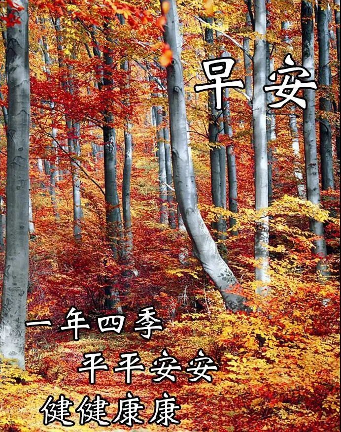 早上好!天气转凉,多添衣裳!