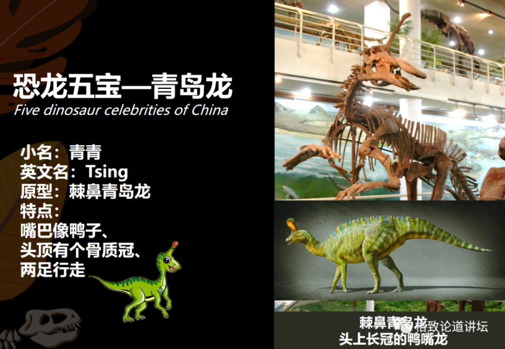 中国恐龙数量世界第一,遗憾的是,很多人却叫不出它们的名字|王原