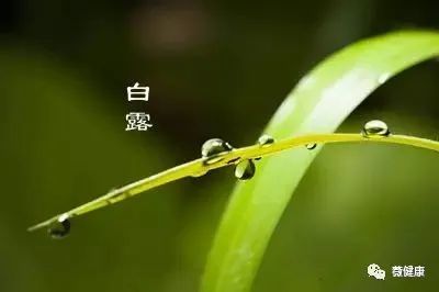 24节气·白露|白露节气如何养生?当以滋阴润肺为重,了解一下