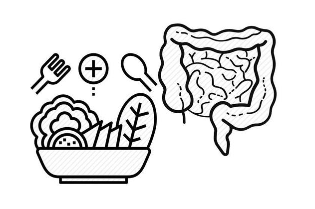 肠道菌群的存在对身体的影响,至少5个,希望你早了解!