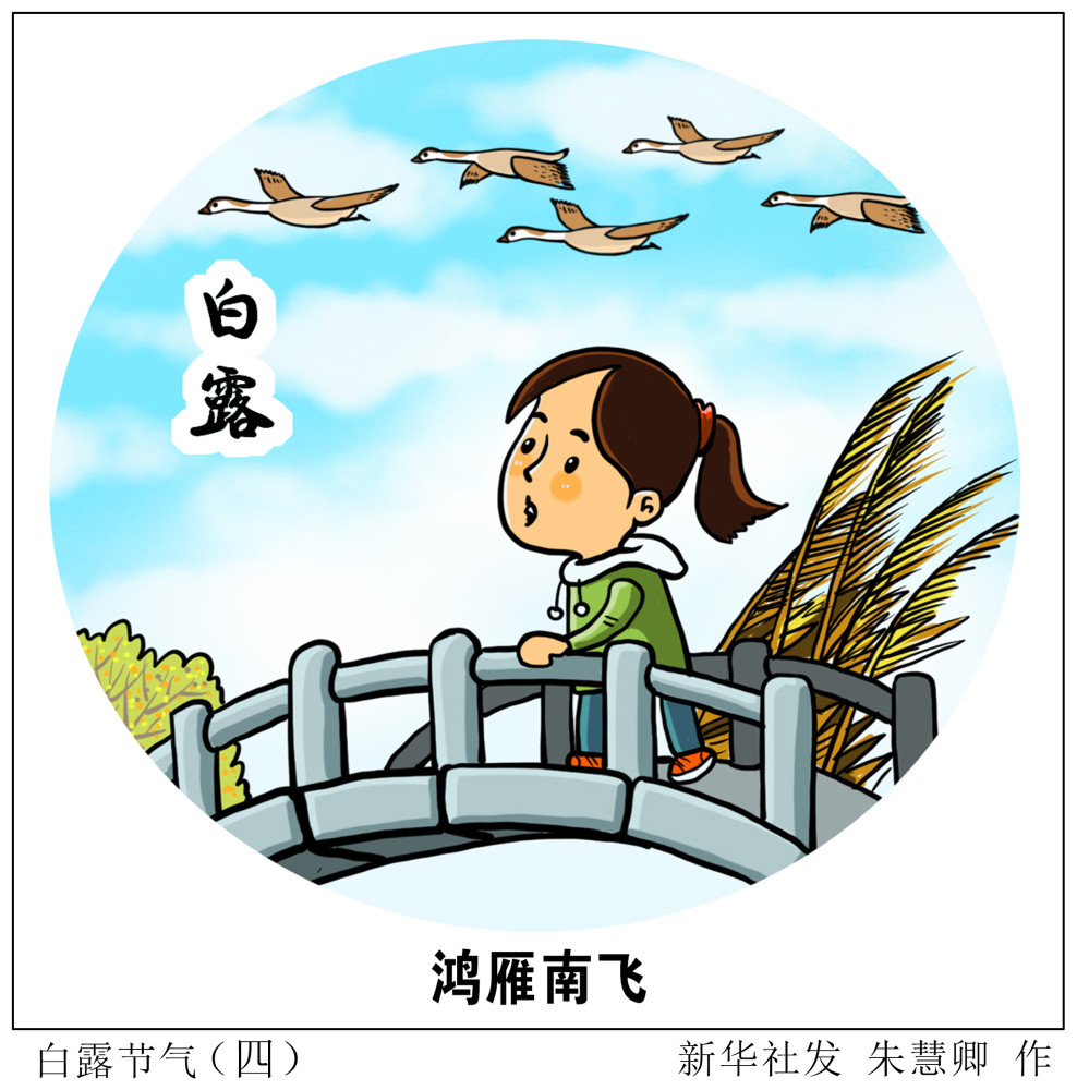 (图表·漫画)【二十四节气·白露】白露节气(四)