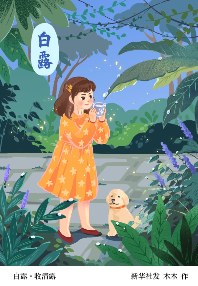 (图表·插画)【二十四节气·白露】白露·收清露