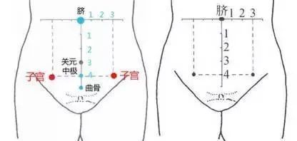 三只小熊舞蹈教案_小熊的肚脐教案怎么写_写小熊和西瓜瓢的作文