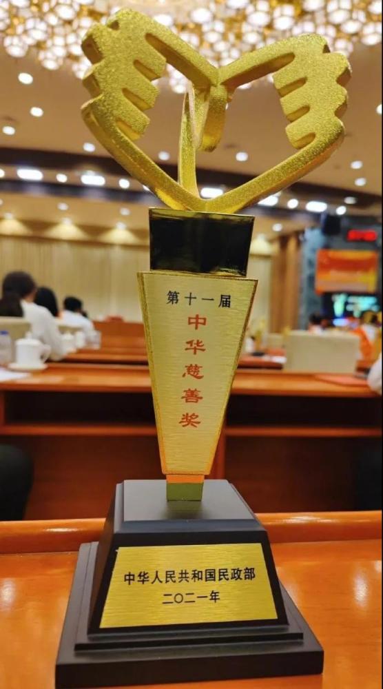 新湖乡村幼儿园项目荣获中华慈善奖