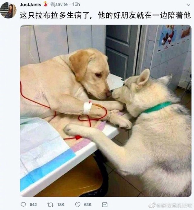 笑得合不拢嘴的 搞笑囧图