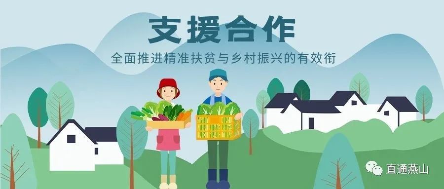 支援合作按下加速键全面推进精准扶贫与乡村振兴的有效衔接