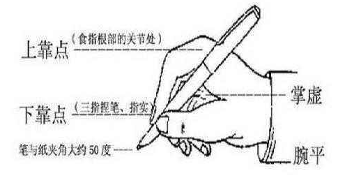 握笔的方法也很重要,这就好像在练武功,只有姿势正确,发力正确,才能