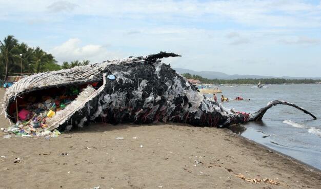 巨型海龟吞下6斤海洋垃圾死亡,如今的海洋污染究竟有多严重?
