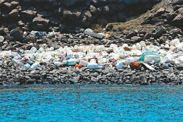 巨型海龟吞下6斤海洋垃圾死亡如今的海洋污染究竟有多严重