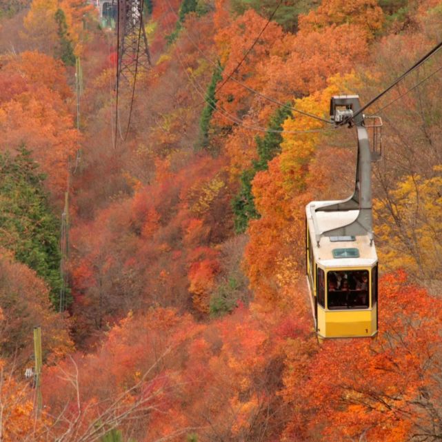 日本47个都道府县,一县一个最佳赏枫地点