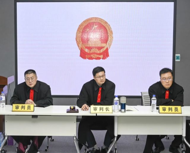 由王华丽,牛梦娜担任公诉人,李嵩辉,翟恒印担任辩护人,由肖弘毅扮演