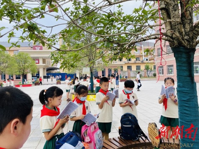 武陵区东风小学:"双减"政策下,让阅读成为最好的培训班