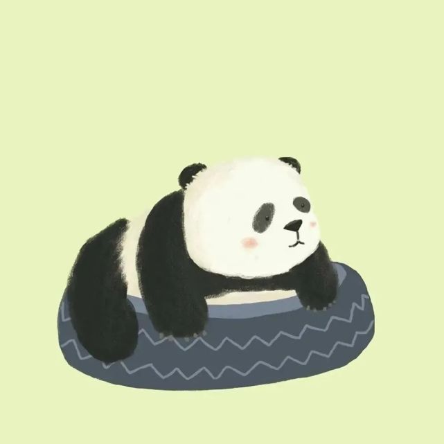 英子粉丝留言求图|超可爱的熊猫头像