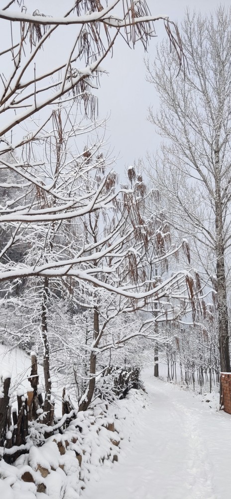 最美不过家乡的雪景