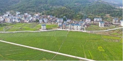 湖南永州市新田县:"省级美丽乡村示范村"中山街道东升