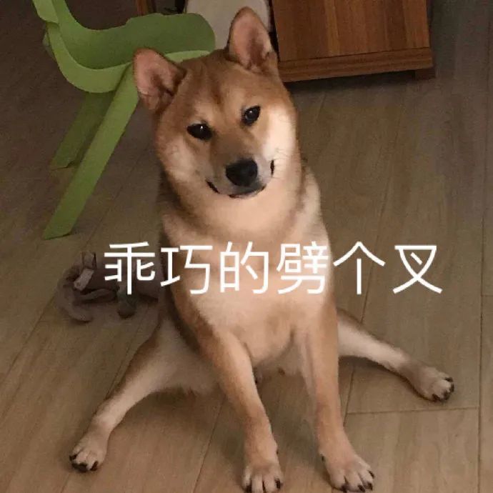 沙雕表情包|看我真挚的大眼睛