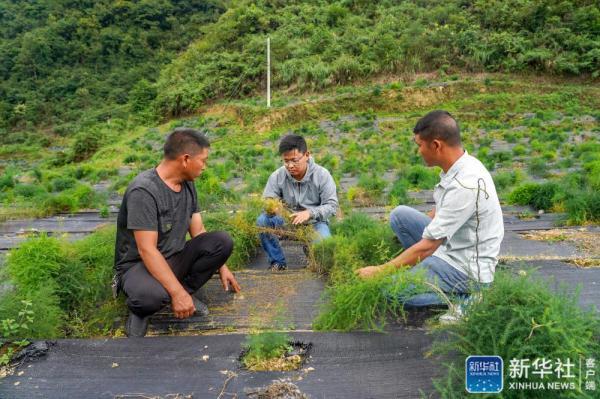 务川:科技特派员情洒仡乡