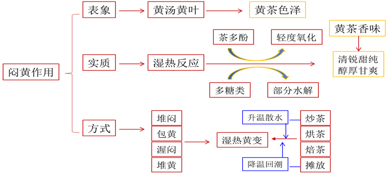 茶科普黄茶的闷黄作用是什么黄茶和黄化茶你可以分得清吗