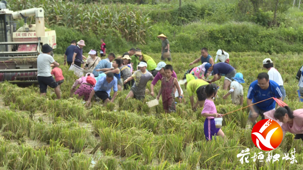 花垣县有多少人口_花垣县火焰土村告别山旮旯 拥抱新生活