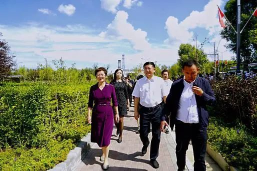 七台河市副市长陈志陪同观摩巾帼生态小菜园.