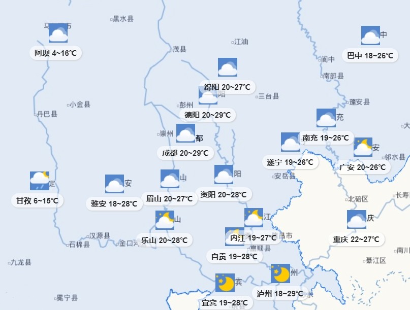 四川峨边野生大熊猫下山掰苞谷