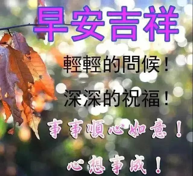 群发每日早安问候语图片带字表情,微信群发早安祝福语