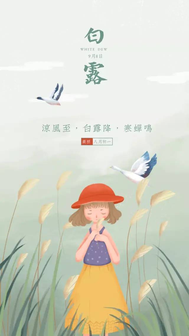 2021白露图片配图大全简单带字,适合白露发朋友圈的