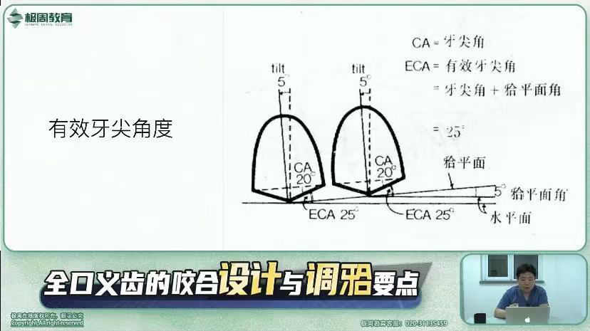 c 正中平衡牙合:指下颌在正中颌位时,上下颌人工牙颌面尖窝交错,有最