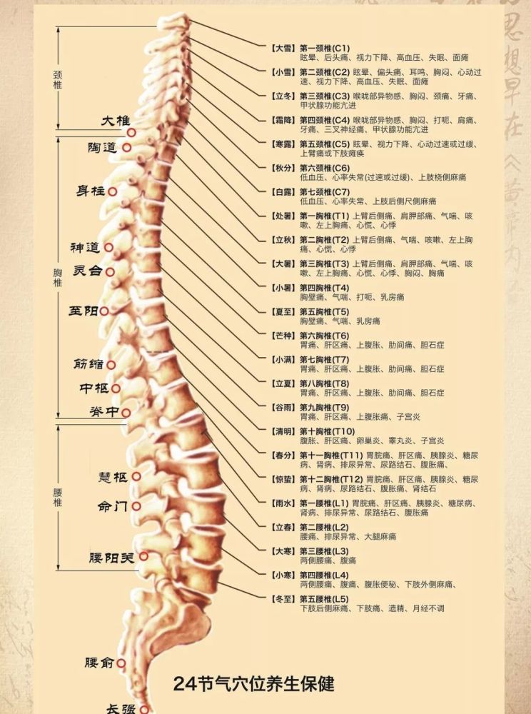 关元,复溜 脊柱与节气 (白露)对应的人体脊柱相关疾病 第七颈胸椎(c7)
