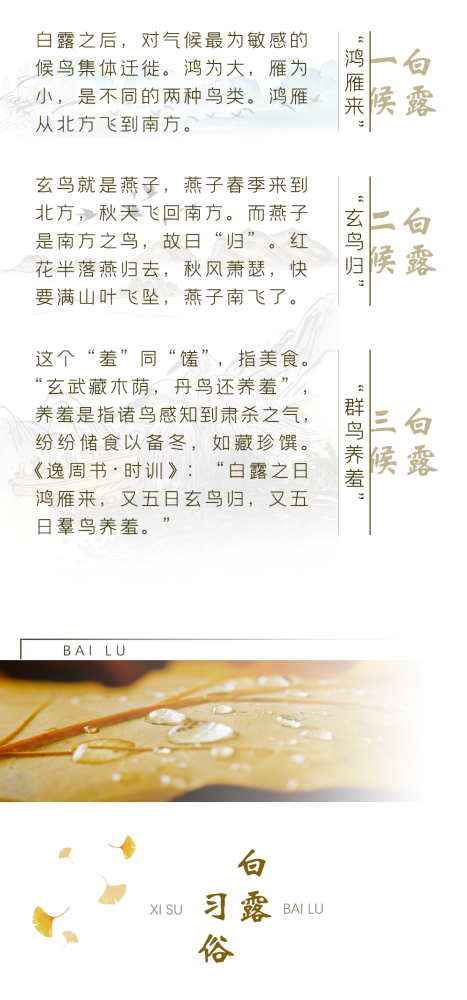 云中歌蒹葭苍苍简谱_蒹葭苍苍白露为霜图片