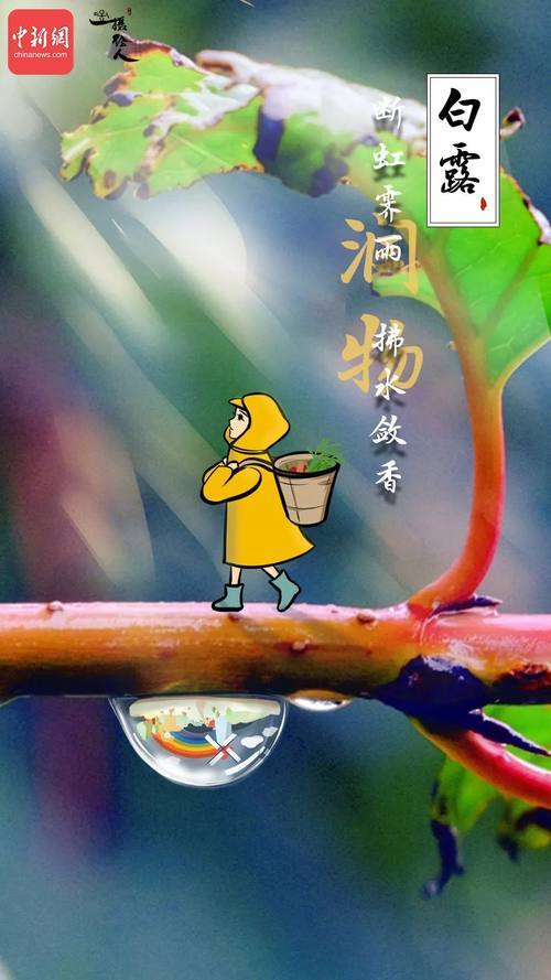 今日白露,拂水敛香