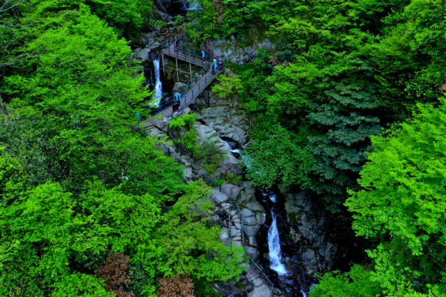 西九华山旅游风景区森林覆盖率达95%以上,并有多处原始森林;整个景区