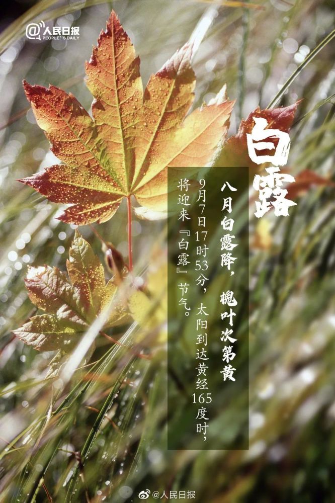 早上 !