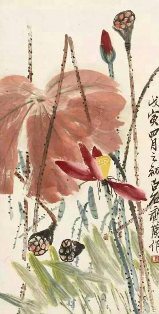 白露|齐白石花鸟画《秋荷余香》