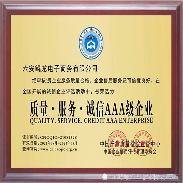 证书 certificate 六安鲲龙电子商务有限公司 经审核:贵企业服务质量