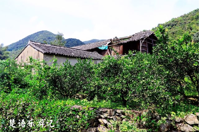 宁波市松岙镇王家山村,藏在幽谷景色却很优美,如世外