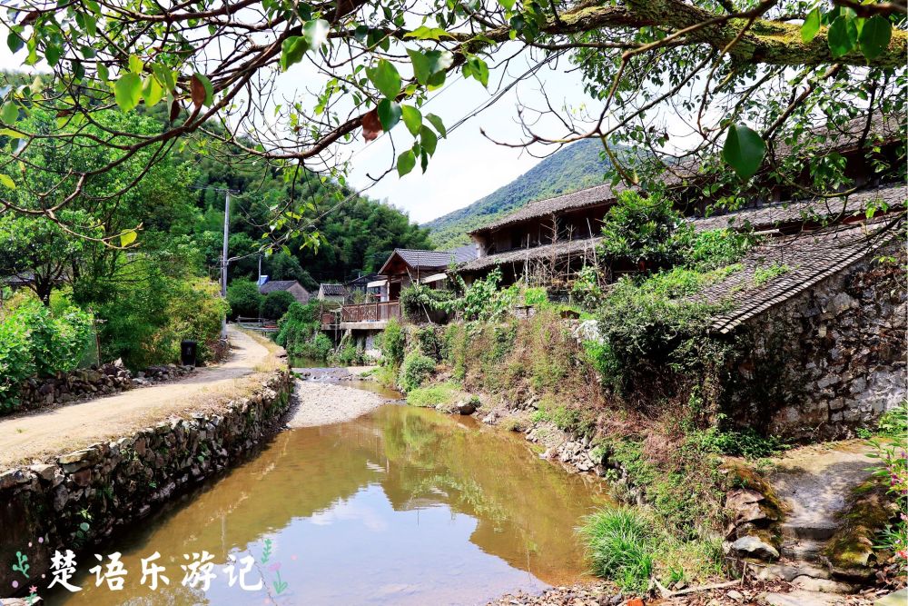 宁波市松岙镇王家山村,藏在幽谷景色却很优美,如世外桃源般清静