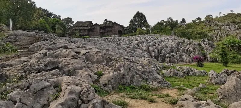 四川宜宾三日游(1:兴文石海国家地质公园