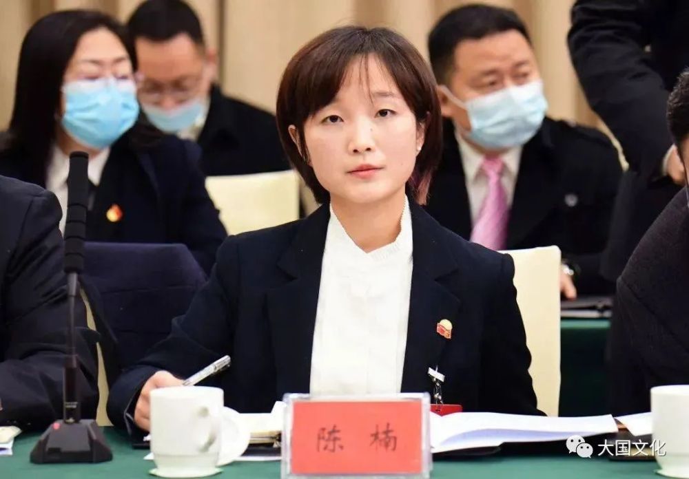 90后女镇长拟任副县长