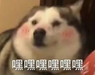 表情包:今天要做的事
